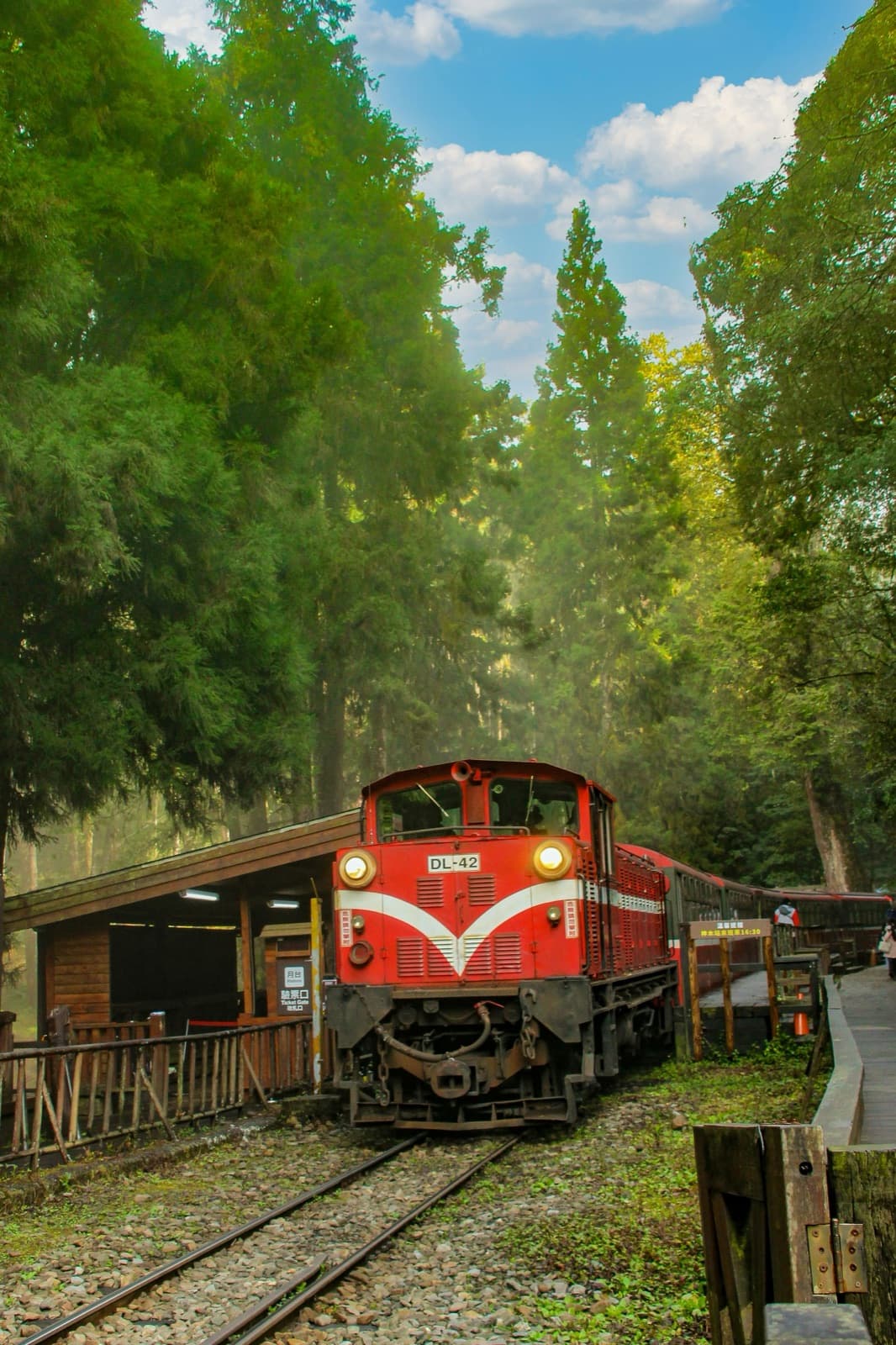 Alishan forest railway train